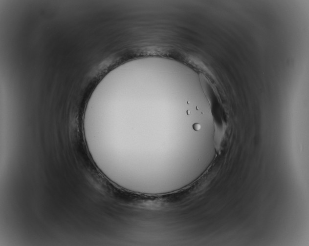 X0000086000306200704131811