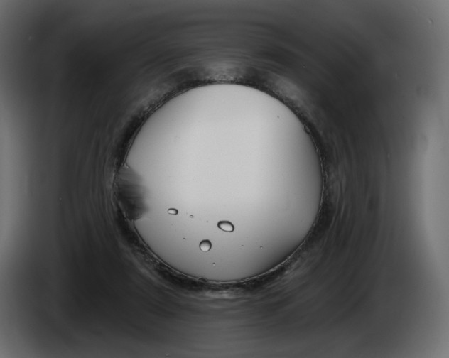 X0000086000307200704131811