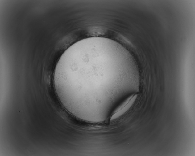 X0000086000315200704131811