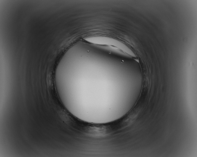 X0000086000317200704131811