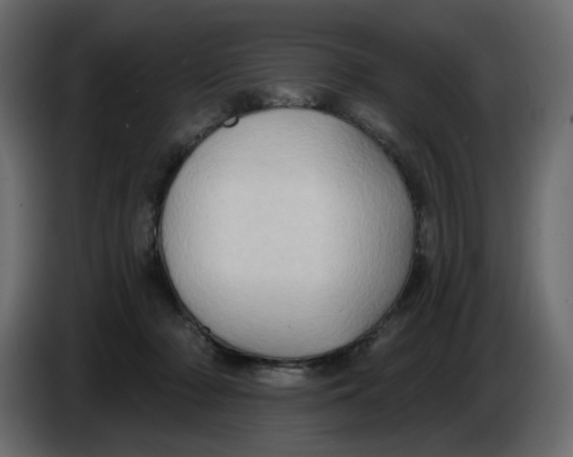 X0000086000318200704131811