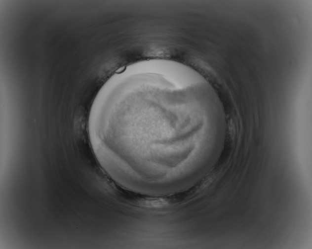 X0000086000322200704131811