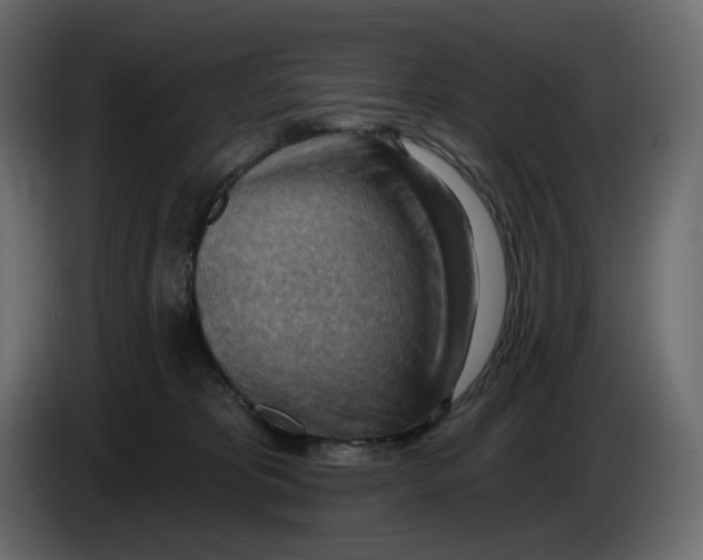 X0000086000325200704131811