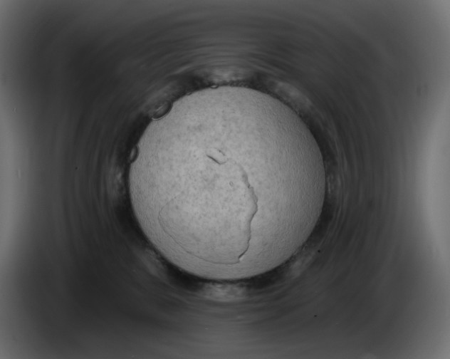 X0000086000327200704131811