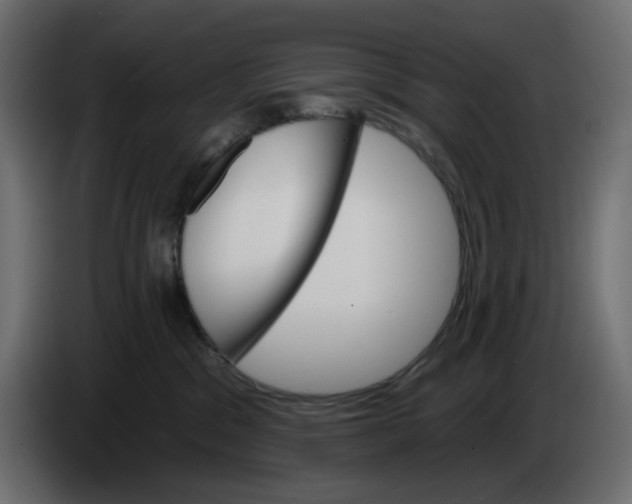 X0000086000329200704131811