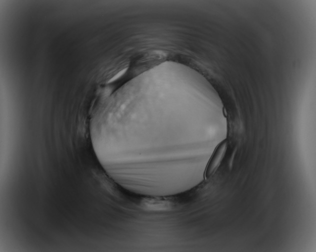 X0000086000331200704131811