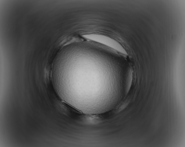 X0000086000333200704131811