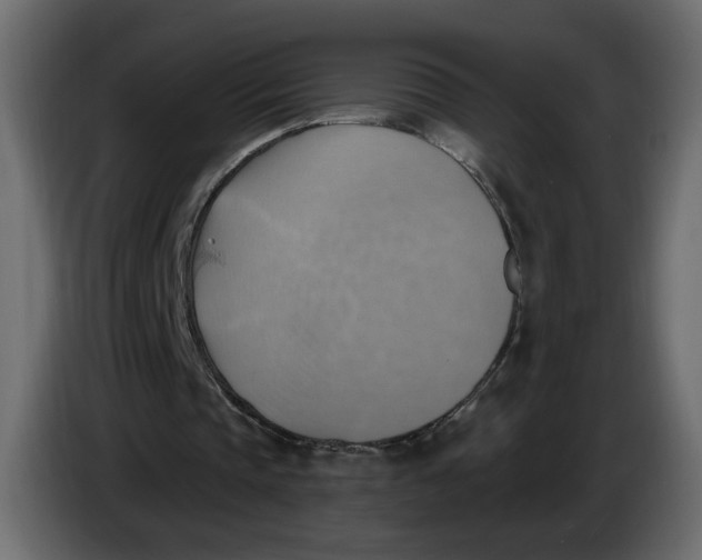 X0000086000337200704131810