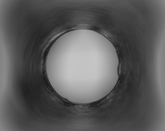 X0000086000338200704131810