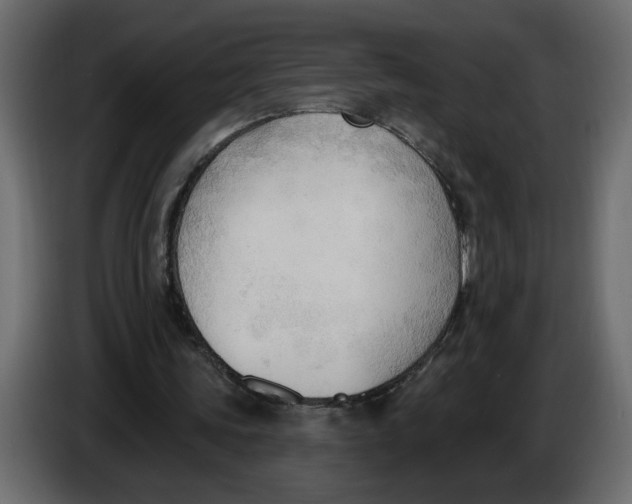 X0000086000339200704131810