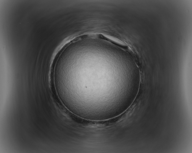 X0000086000340200704131810