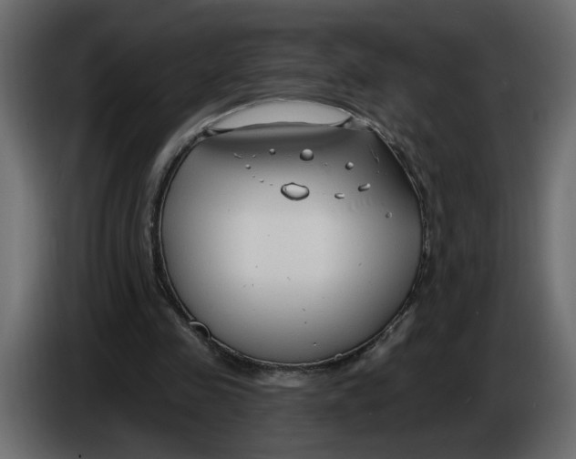 X0000086000341200704131810