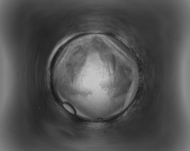 X0000086000342200704131810