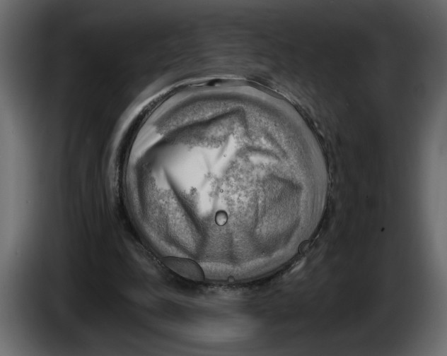 X0000086000343200704131810