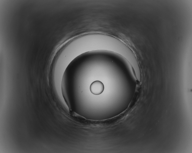 X0000086000344200704131810