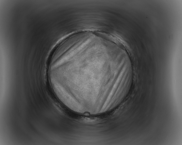 X0000086000346200704131810