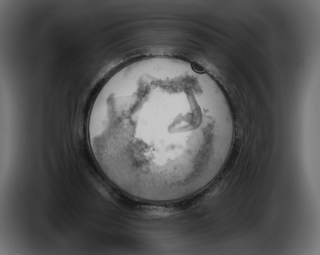 X0000086000347200704131810