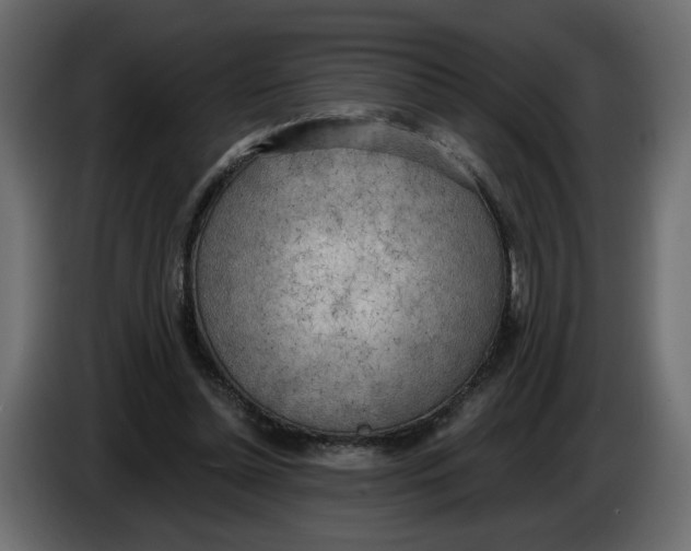 X0000086000348200704131810