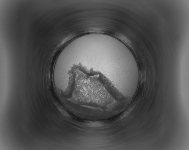 X0000086000349200704131810