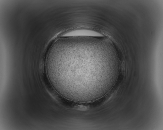 X0000086000352200704131810