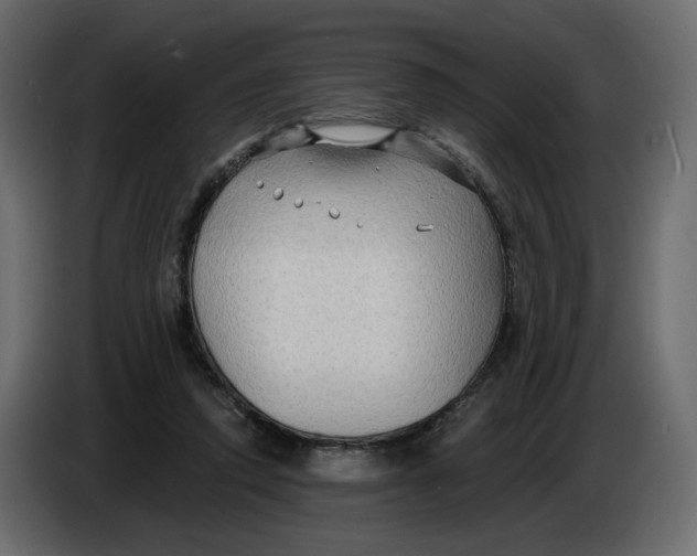 X0000086000354200704131810