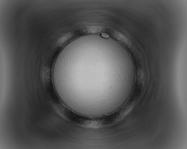 X0000086000356200704131810