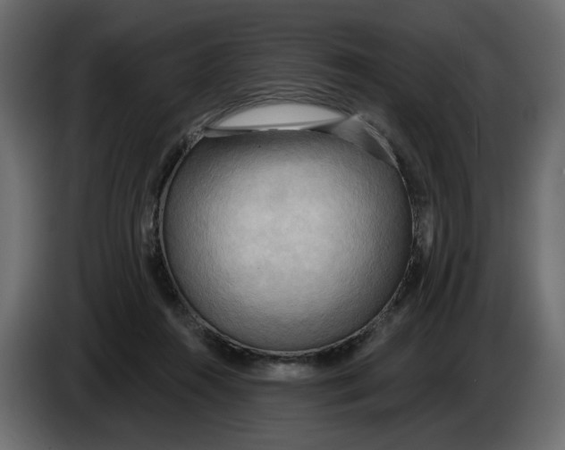 X0000086000360200704131810