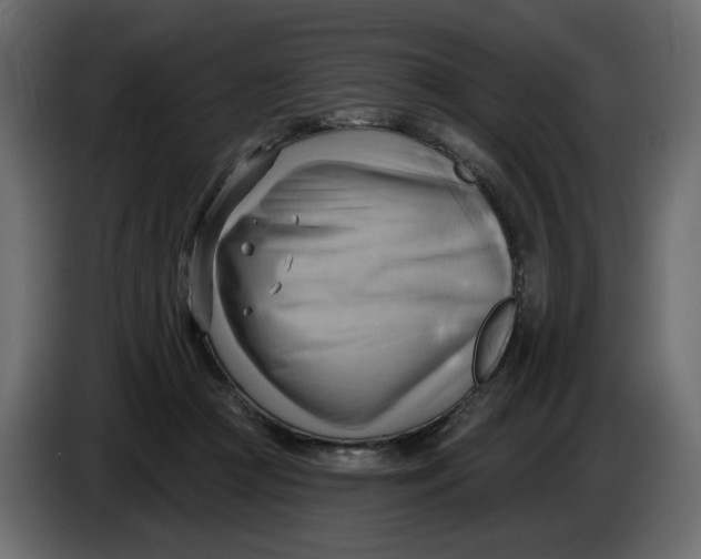 X0000086000361200704131810