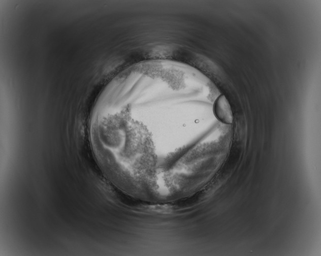 X0000086000363200704131810