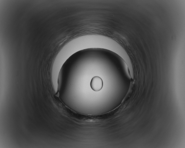 X0000086000364200704131810