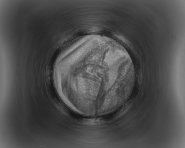 X0000086000366200704131810