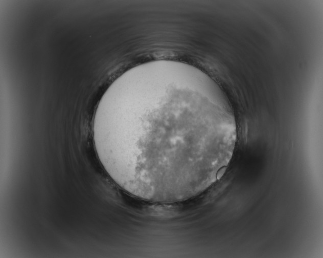 X0000086000367200704131810