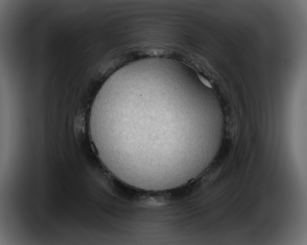 X0000086000368200704131810