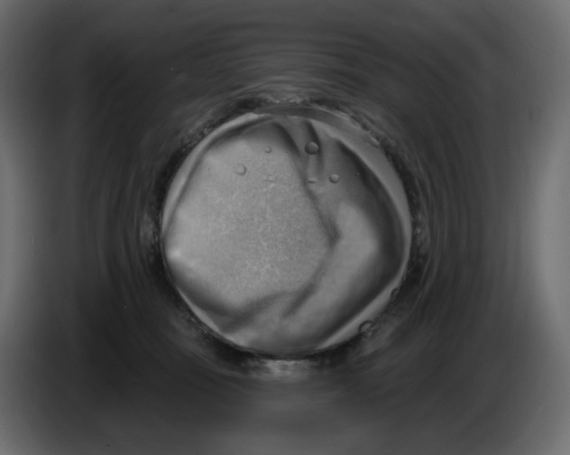 X0000086000371200704131810