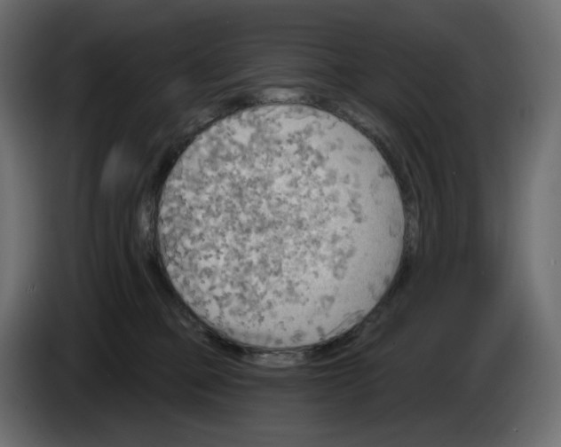 X0000086000373200704131810