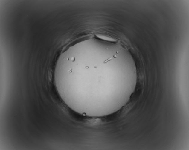 X0000086000374200704131810