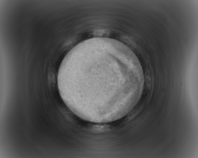 X0000086000375200704131810