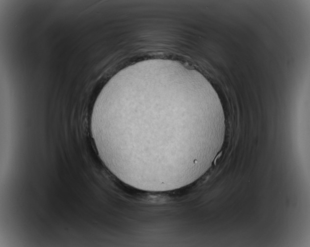 X0000086000376200704131810