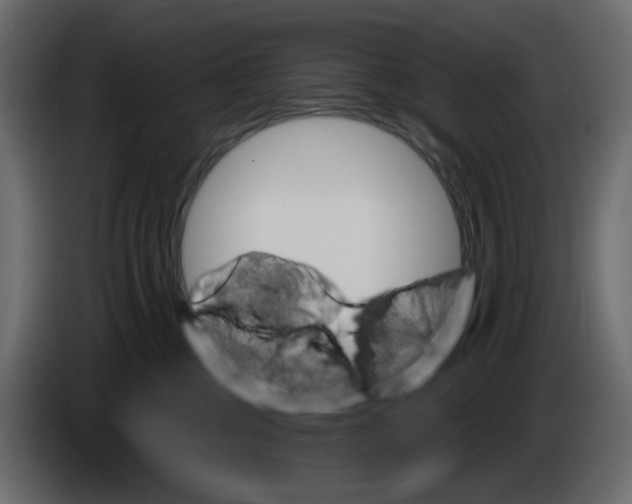 X0000086000377200704131810