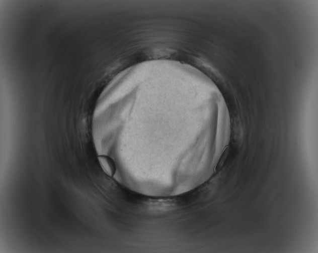 X0000086000378200704131810