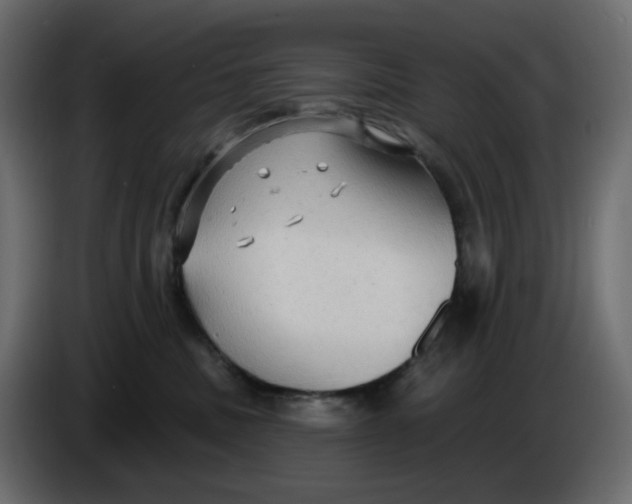 X0000086000379200704131810