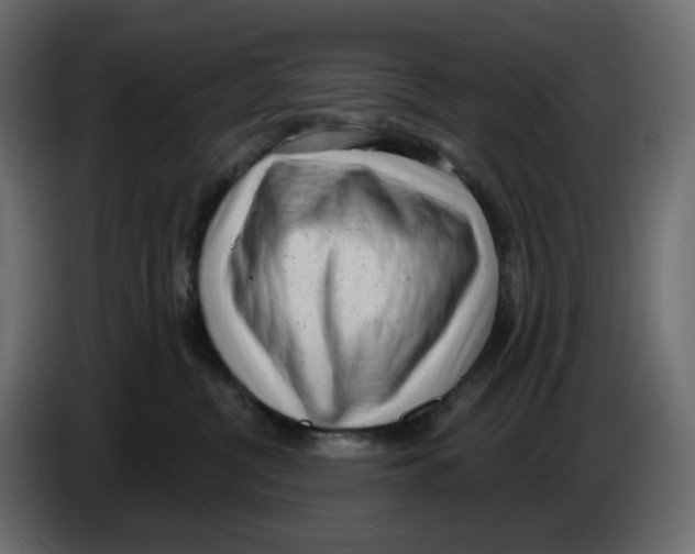 X0000086000380200704131810