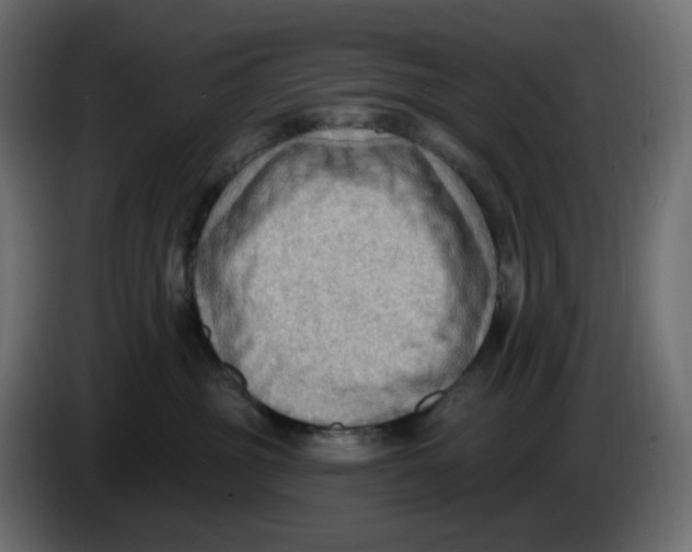 X0000086000381200704131810