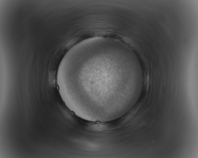 X0000086000383200704131810