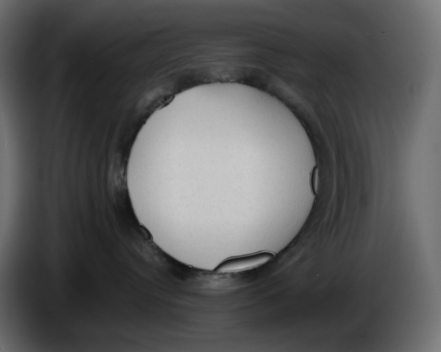 X0000086000384200704131810