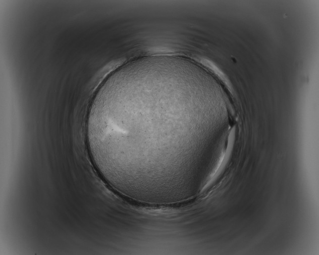 X0000086000385200704131810