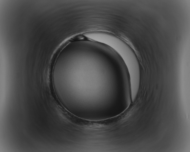 X0000086000387200704131810