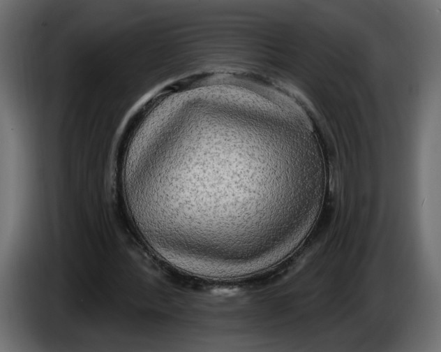 X0000086000388200704131810