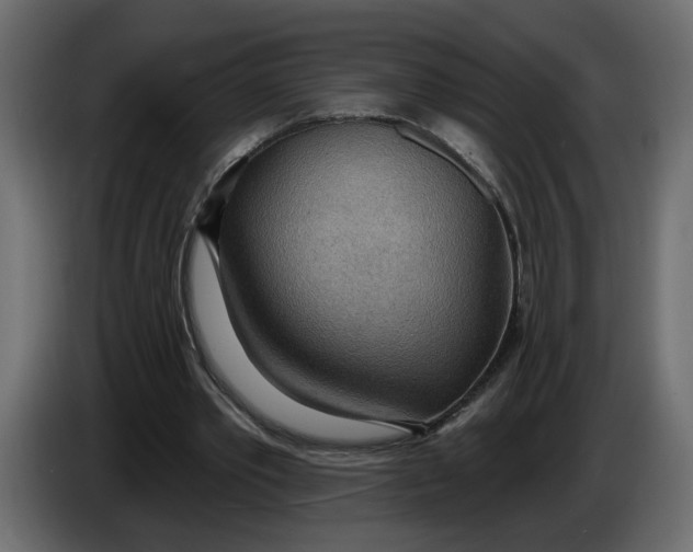 X0000086000389200704131810