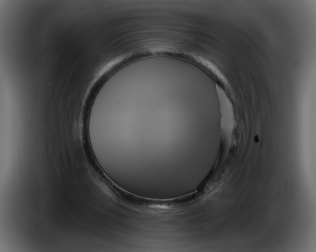 X0000086000391200704131810